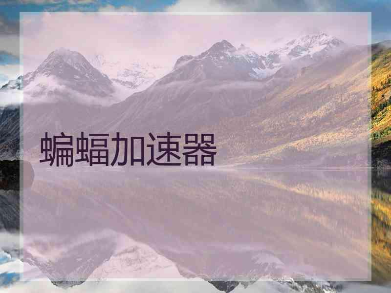 蝙蝠加速器