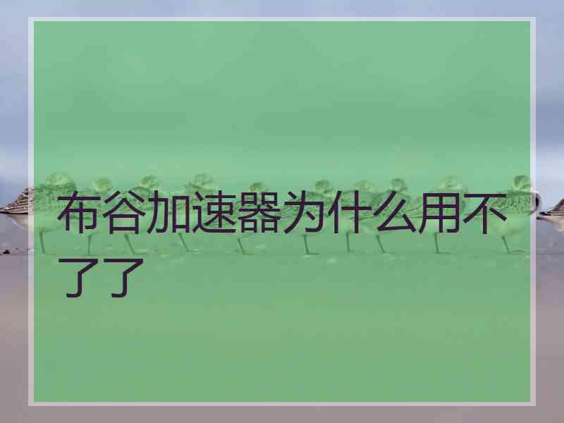布谷加速器为什么用不了了