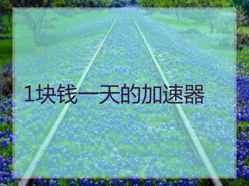 1块钱一天的加速器