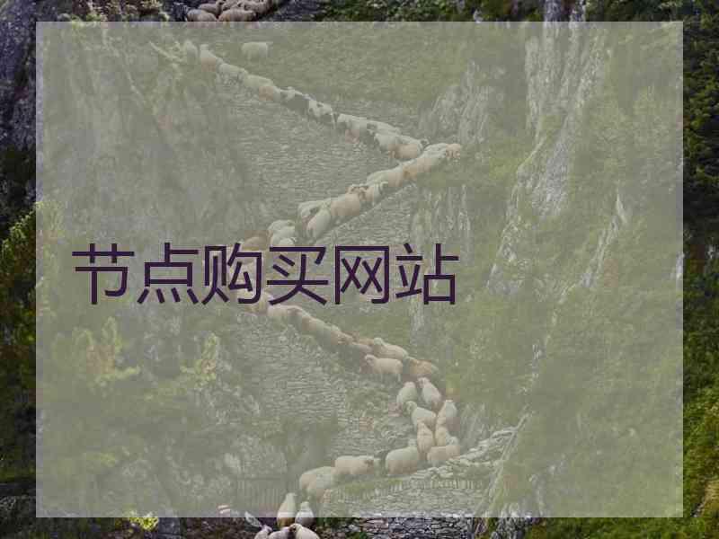 节点购买网站