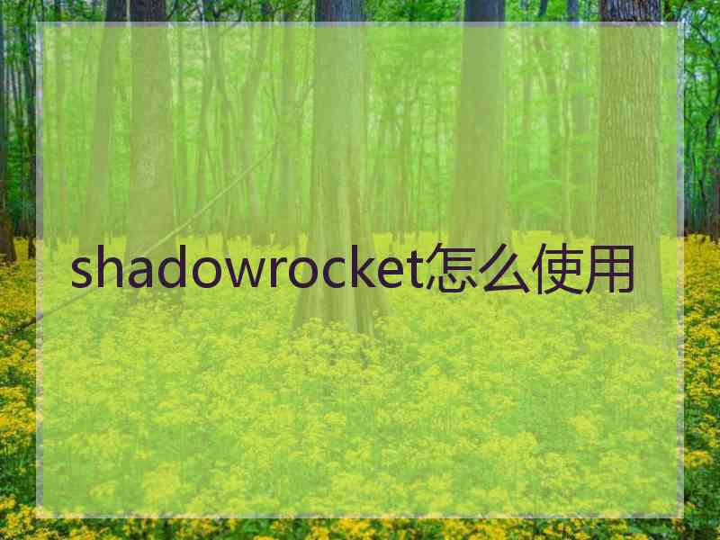 shadowrocket怎么使用