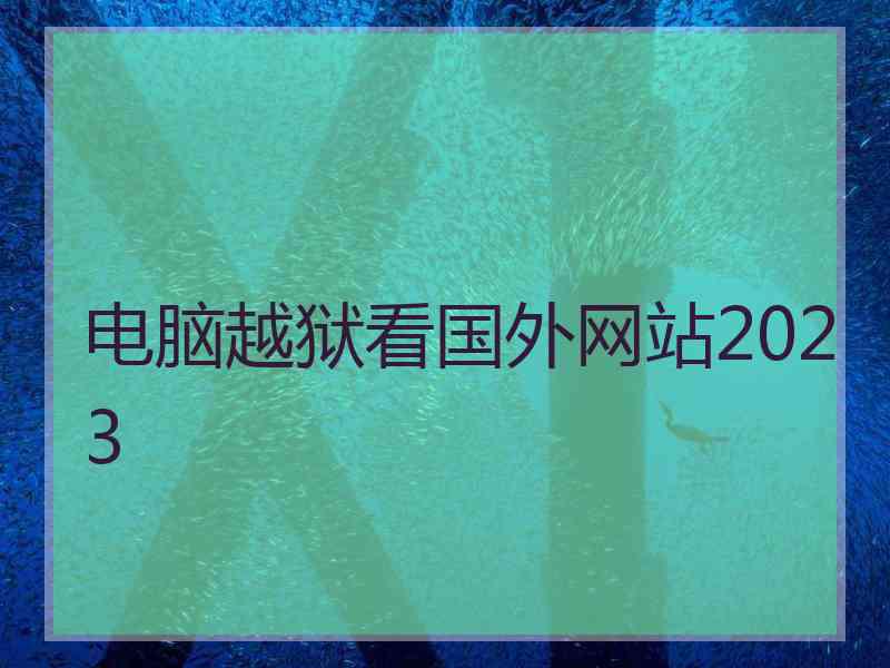 电脑越狱看国外网站2023