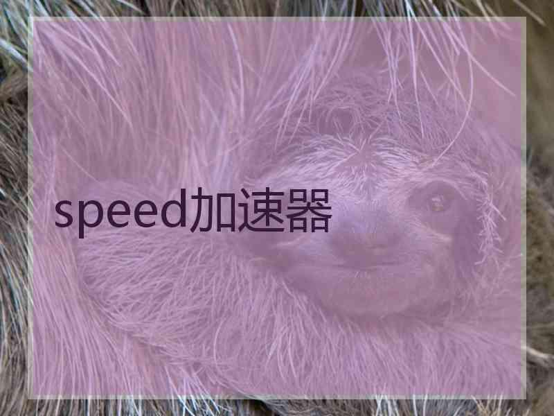 speed加速器