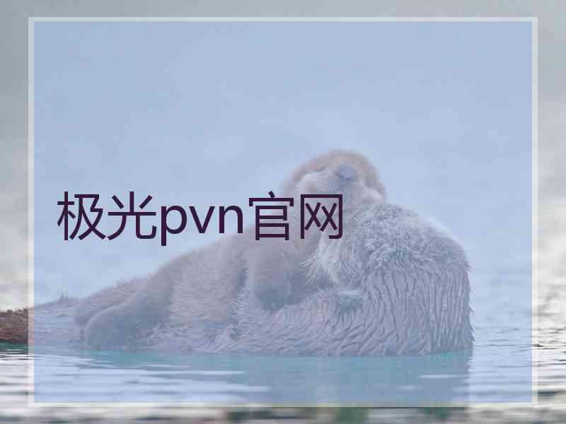 极光pvn官网