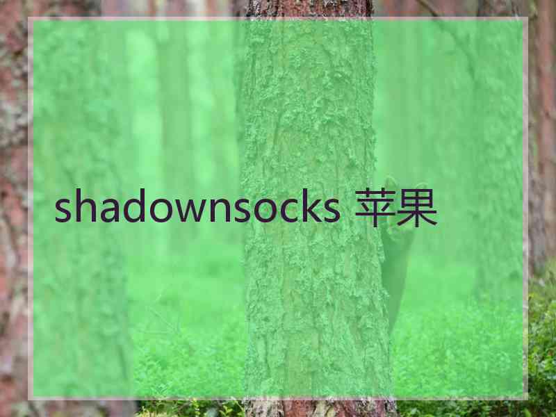 shadownsocks 苹果
