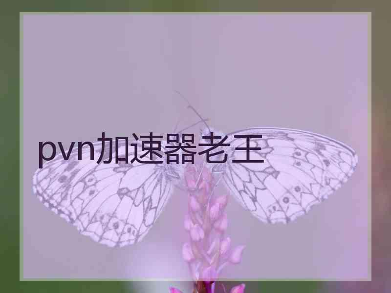 pvn加速器老王