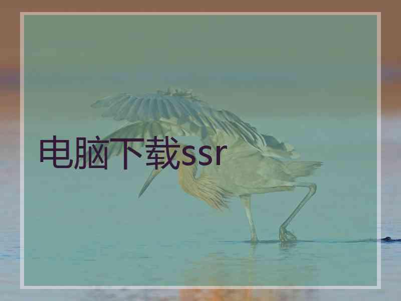 电脑下载ssr