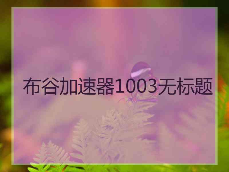 布谷加速器1003无标题