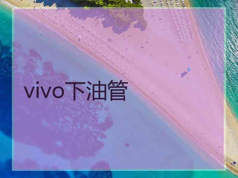 vivo下油管