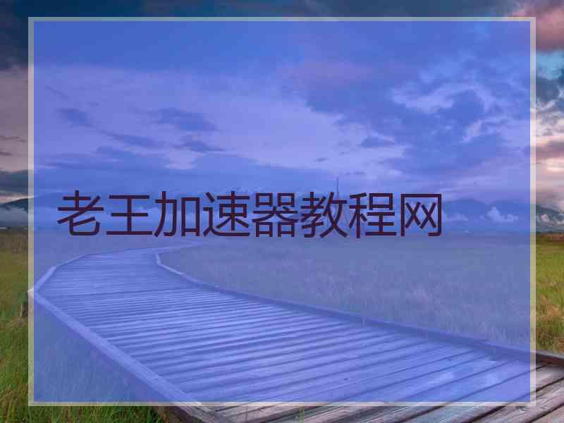 老王加速器教程网