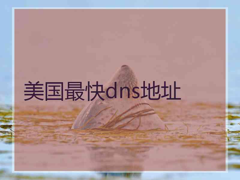 美国最快dns地址