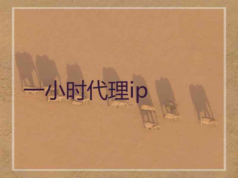 一小时代理ip