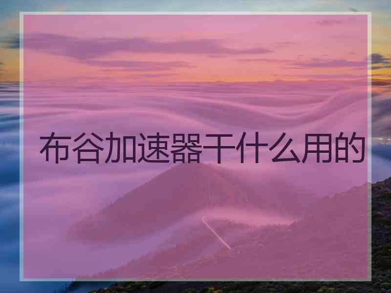 布谷加速器干什么用的