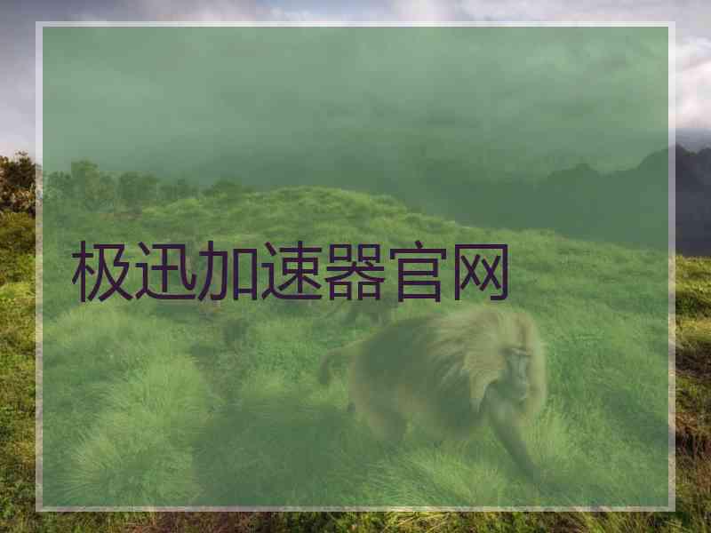 极迅加速器官网