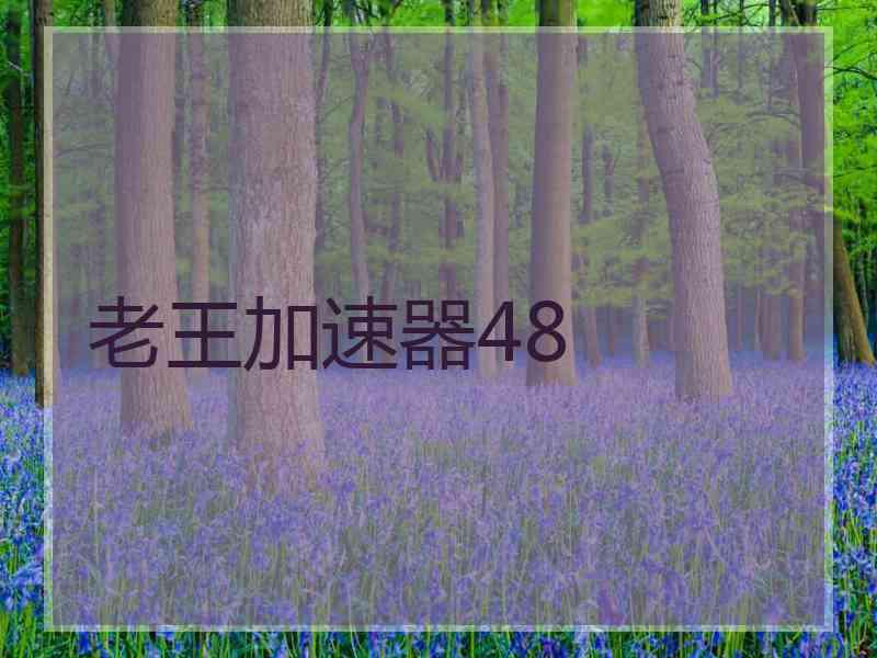老王加速器48