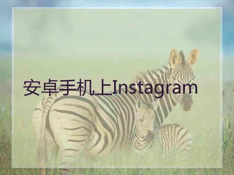 安卓手机上Instagram