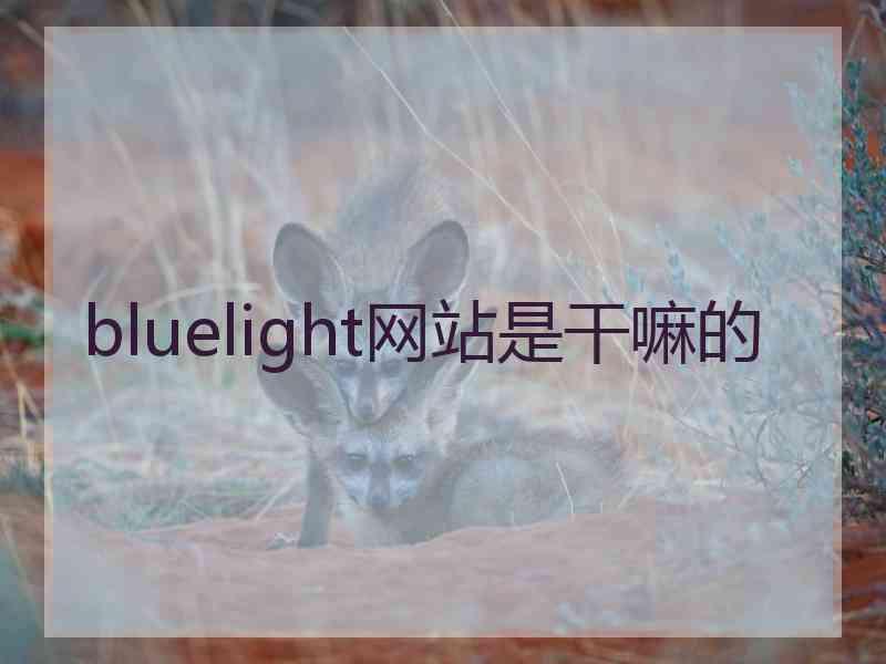 bluelight网站是干嘛的
