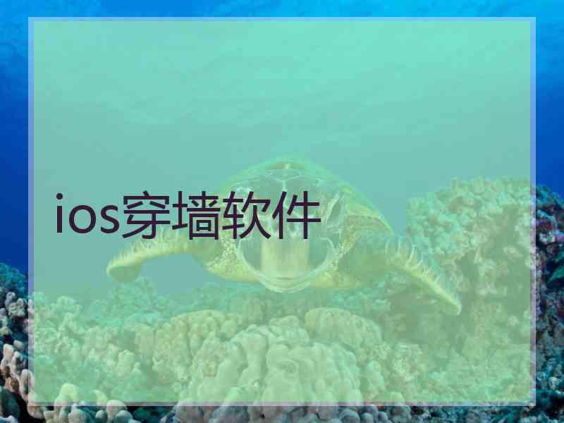 ios穿墙软件
