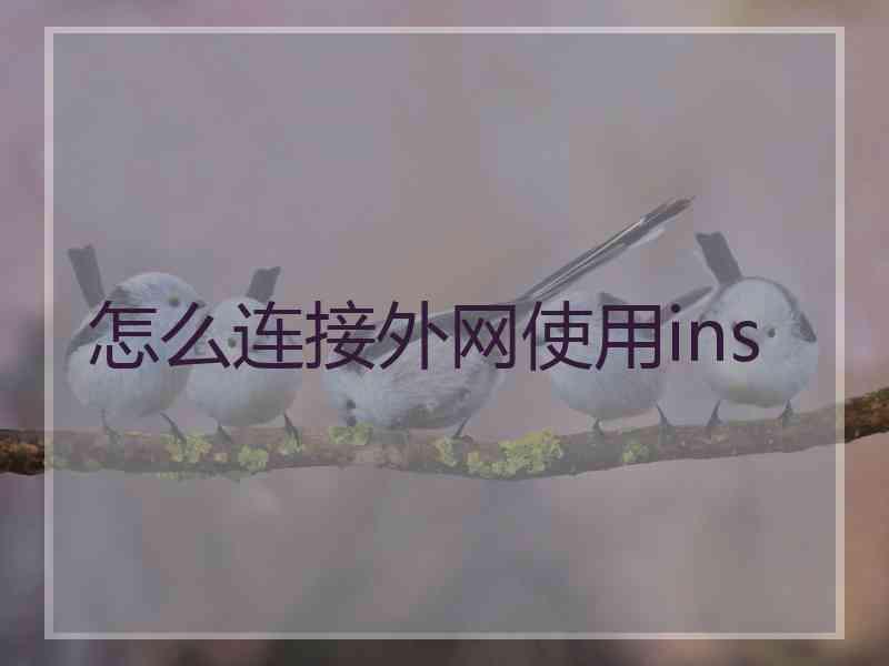 怎么连接外网使用ins