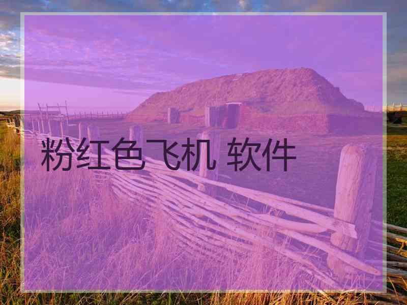 粉红色飞机 软件