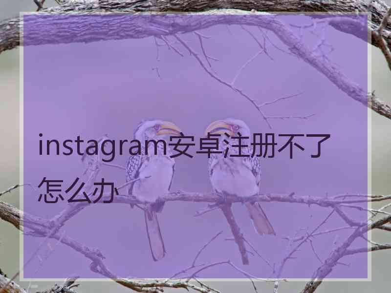 instagram安卓注册不了怎么办