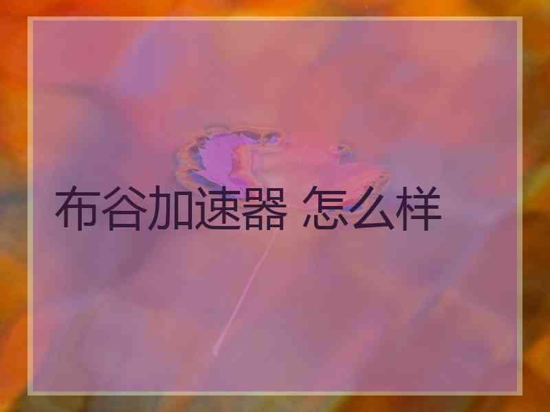 布谷加速器 怎么样