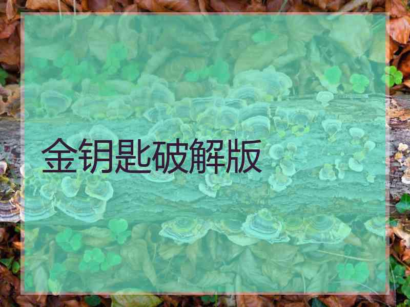 金钥匙破解版