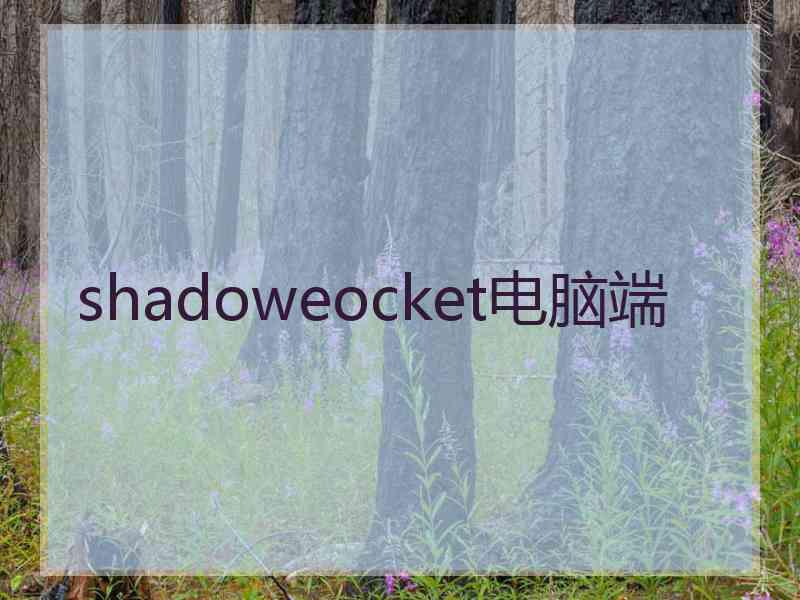shadoweocket电脑端