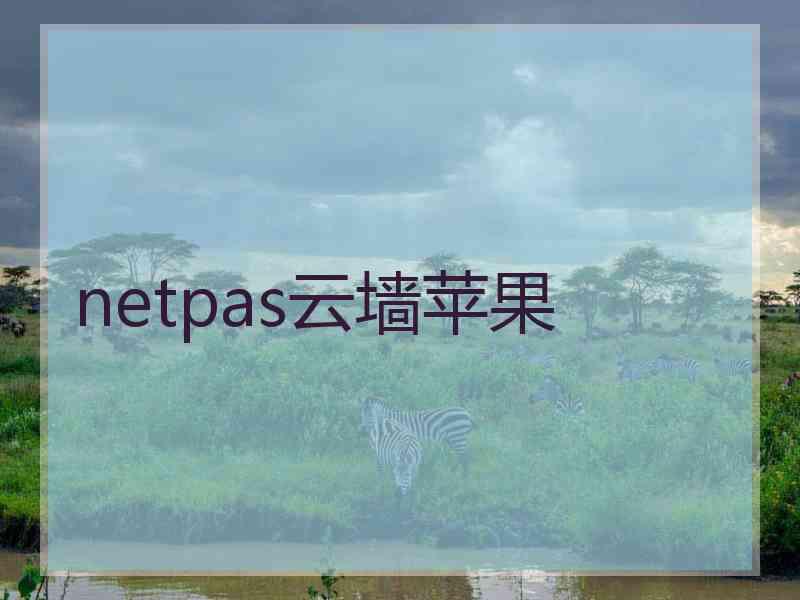 netpas云墙苹果