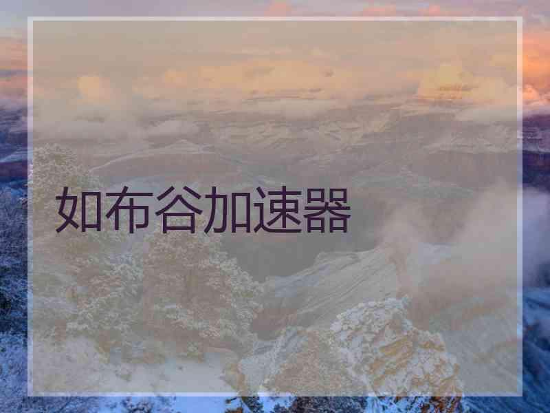 如布谷加速器
