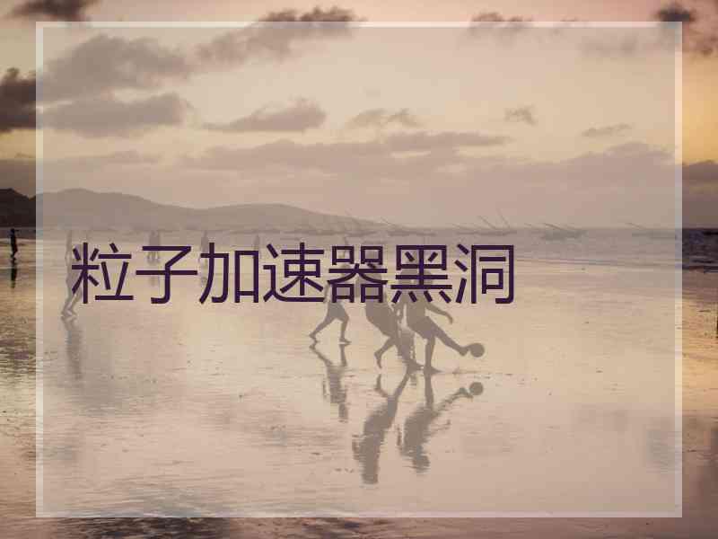 粒子加速器黑洞