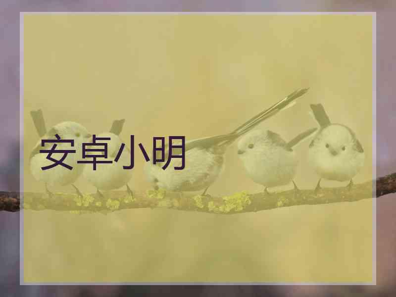 安卓小明