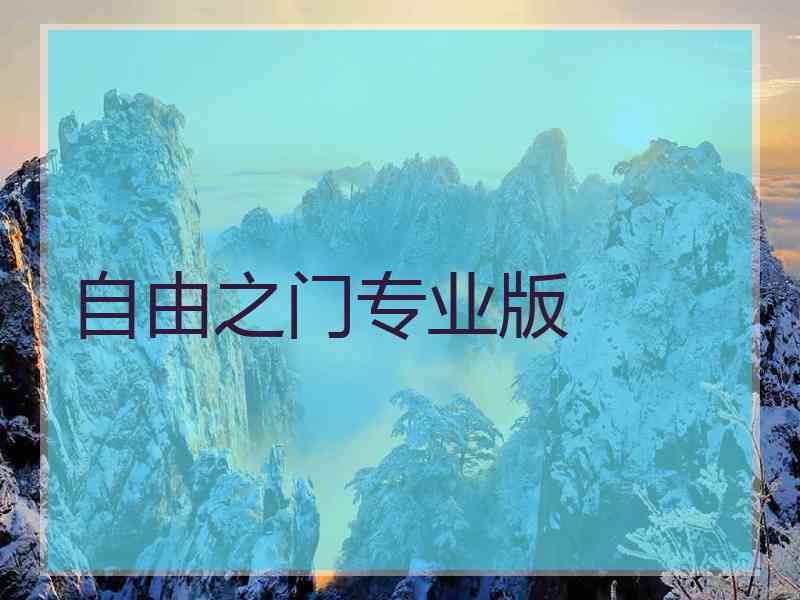 自由之门专业版
