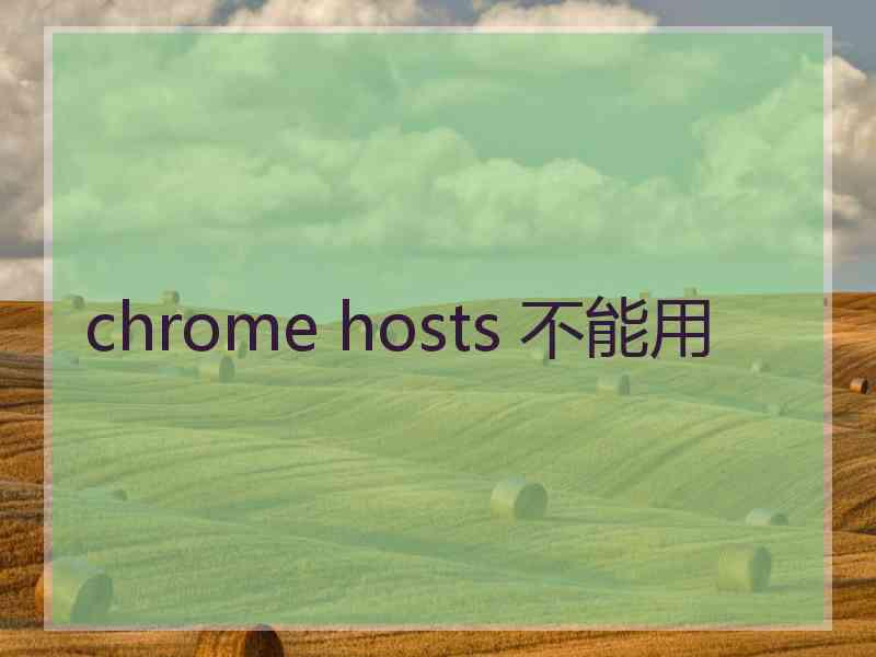 chrome hosts 不能用