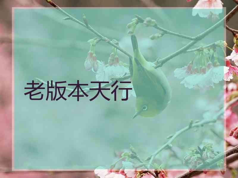 老版本天行