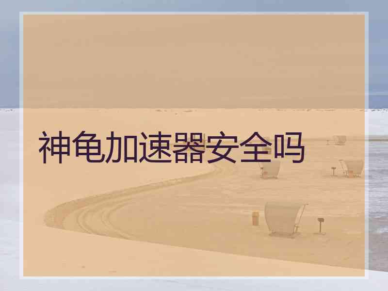 神龟加速器安全吗