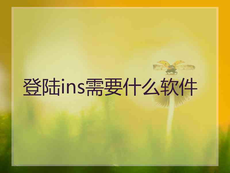 登陆ins需要什么软件