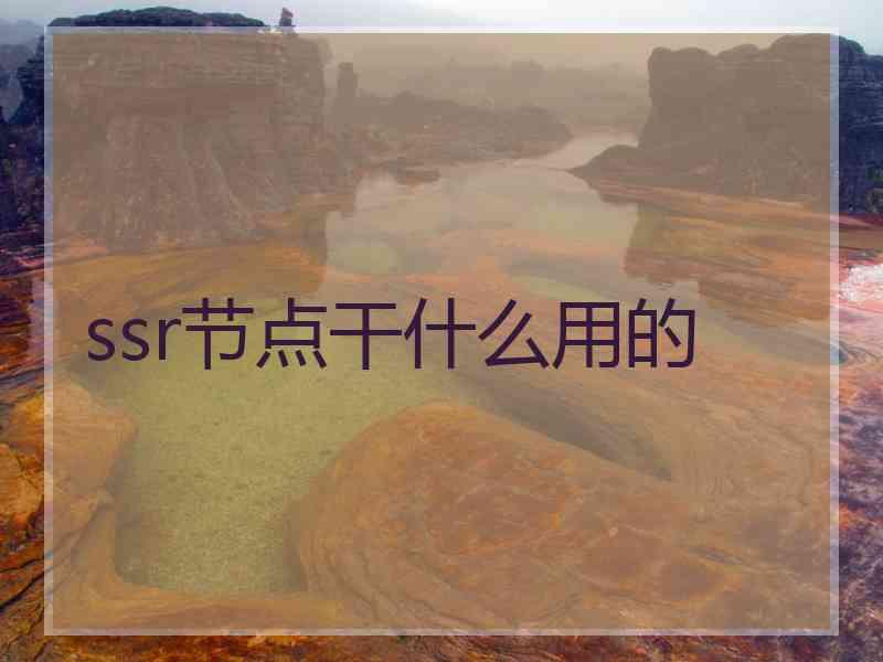 ssr节点干什么用的