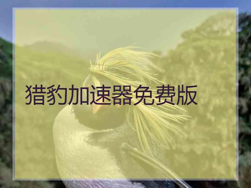 猎豹加速器免费版