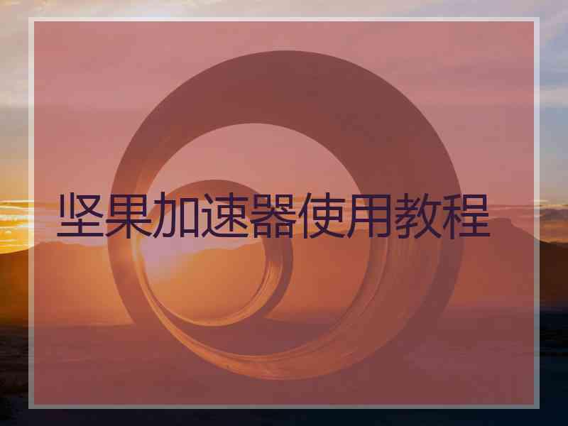 坚果加速器使用教程