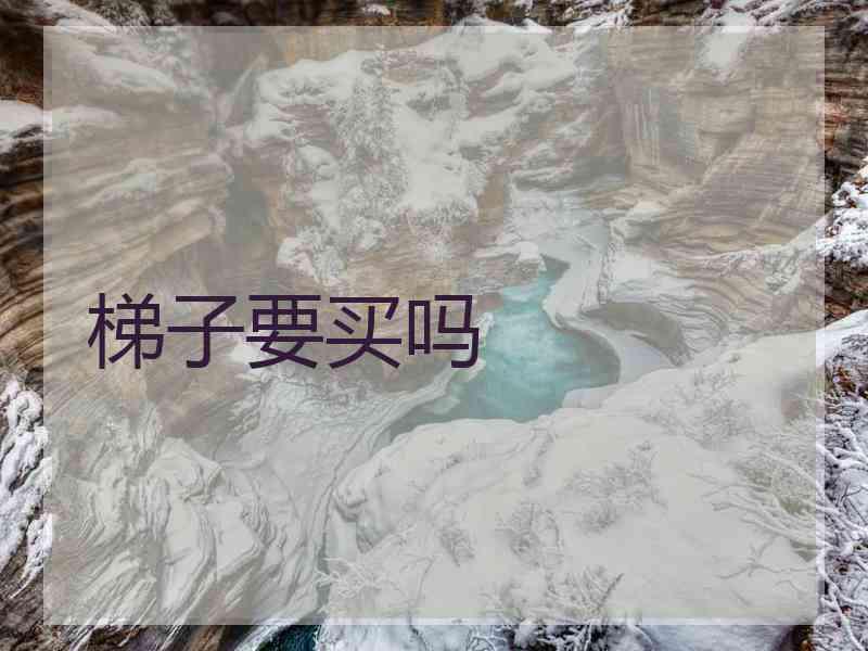 梯子要买吗