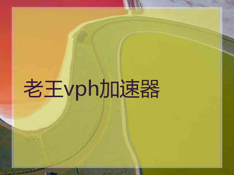 老王vph加速器