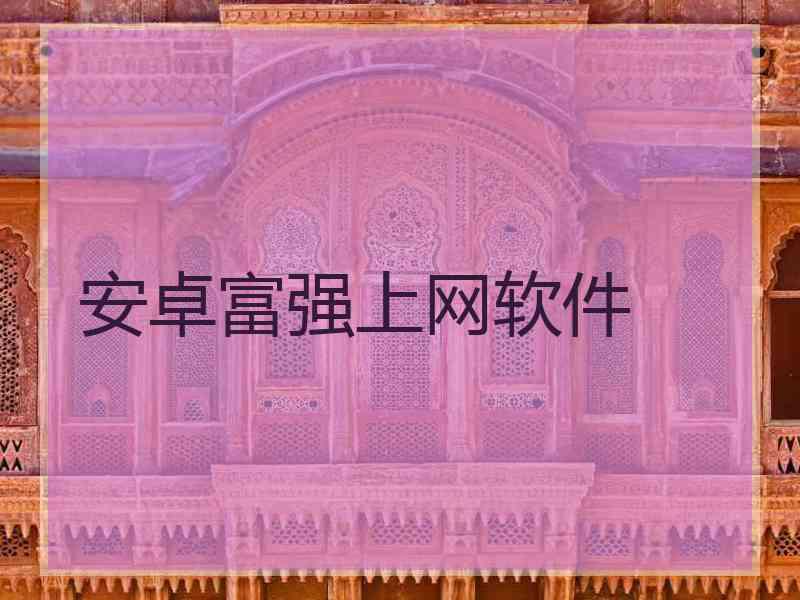 安卓富强上网软件