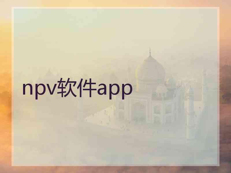 npv软件app