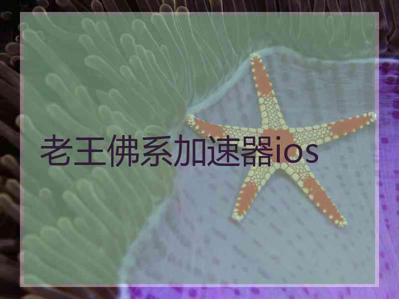老王佛系加速器ios
