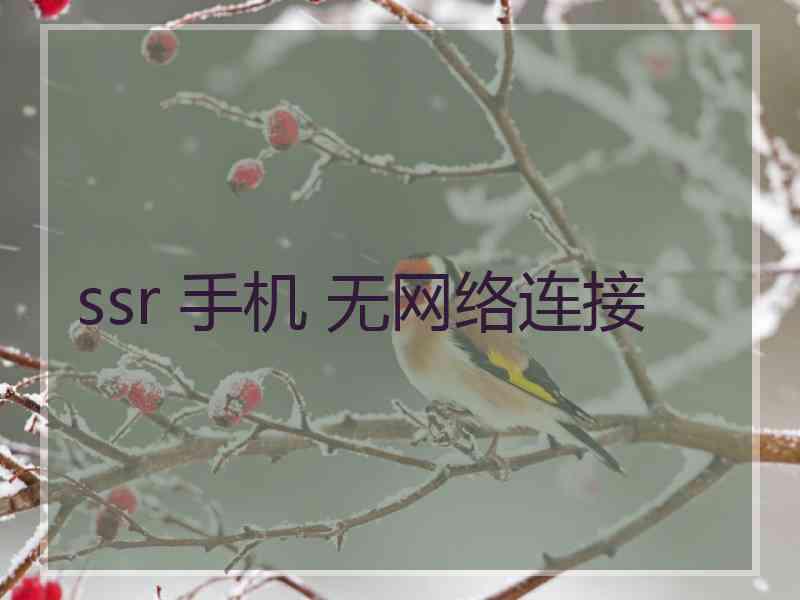 ssr 手机 无网络连接