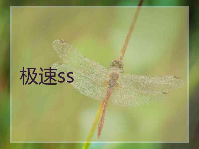 极速ss