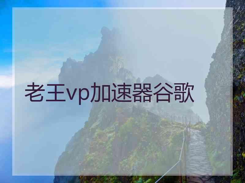 老王vp加速器谷歌