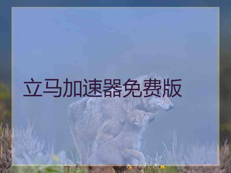 立马加速器免费版
