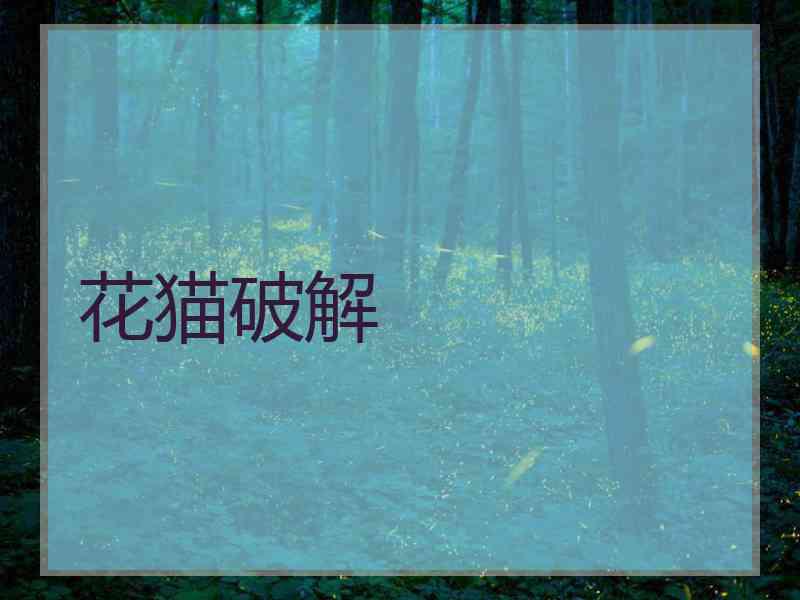 花猫破解